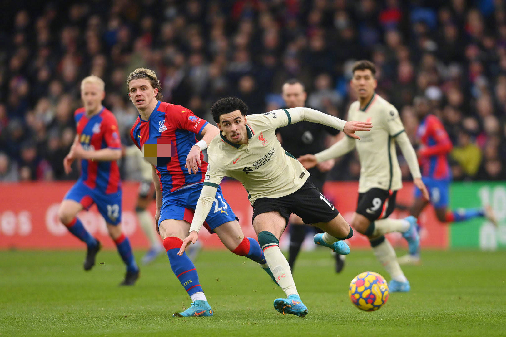 球的統治者 球的統治者